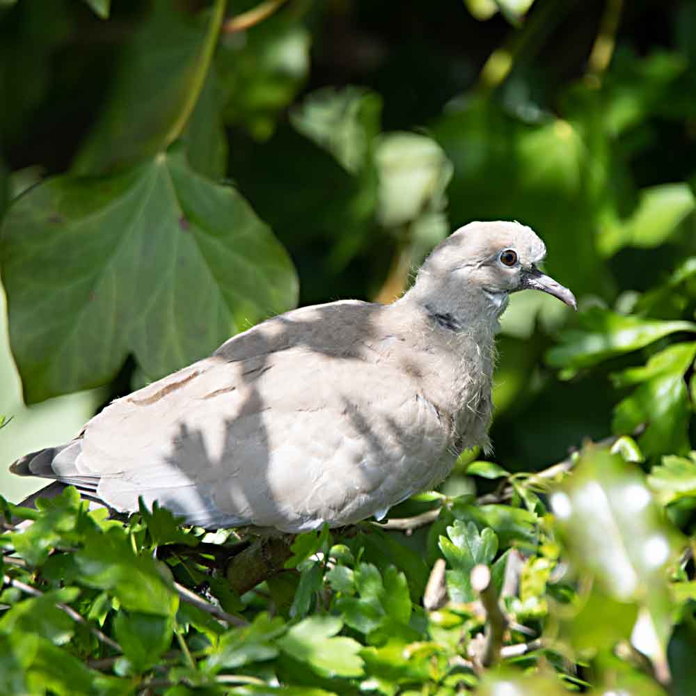 Narzissmus überwinden