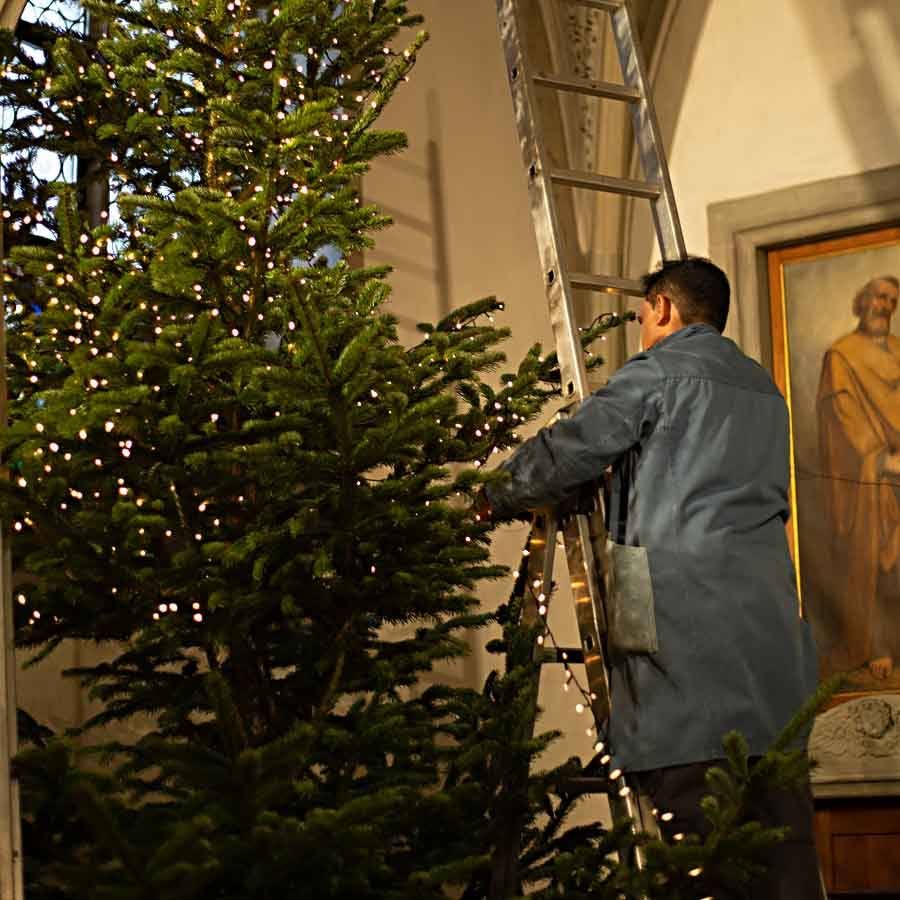 Verwandlung vom Tannenbaum in einen Weihnachtsbaum