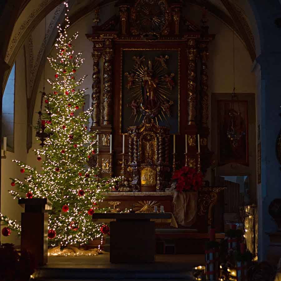Verwandlung vom Tannenbaum in einen Weihnachtsbaum